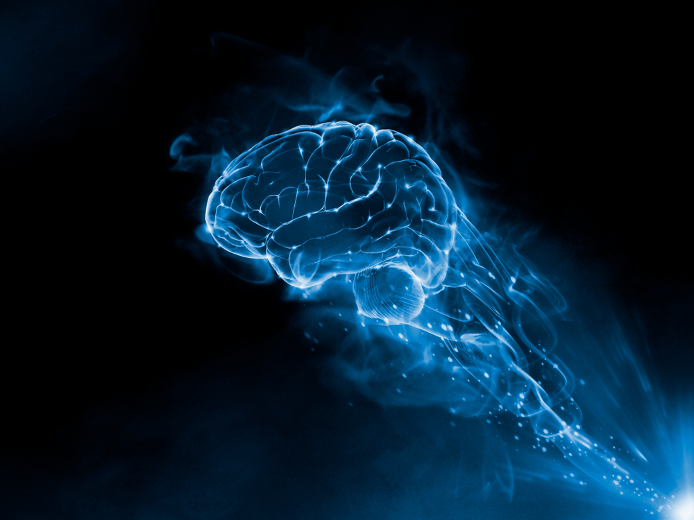 shutterstock_1108758326 brain map