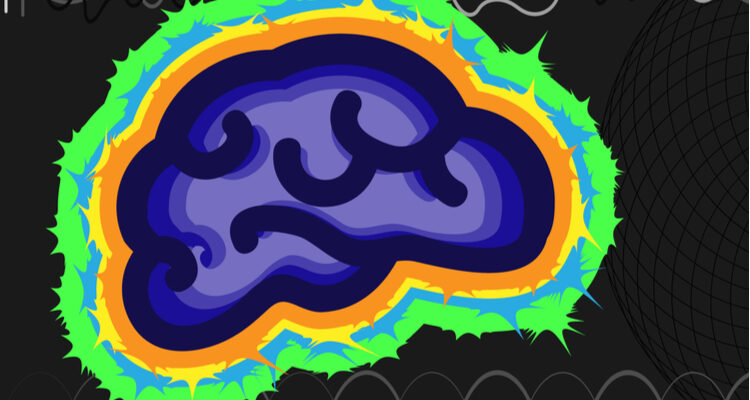 scan showing neuroplasticity