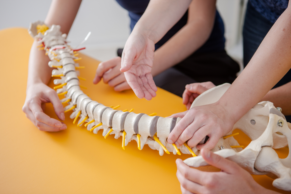 display of treatment for musculoskeletal disorder